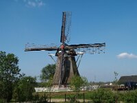 NL, Friesland, Sudwest-Fryslan, Makkum 1, Saxifraga-Hans Dekker