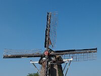 NL, Friesland, Sudwest-Fryslan, Makkum 2, Saxifraga-Hans Dekker