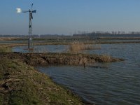 NL, Noord-Brabant, Altena, Polder Eijerwaard 2, Saxifraga-Jan van der Straaten