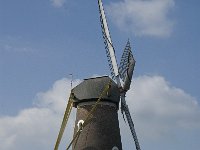 NL, Noord-Brabant, Oirschot, Molen de Korenaar 1, Saxifraga-Jan van der Straaten