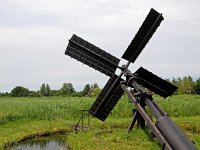 NL, Overijssel, Steenwijkerland, Weerribben 23, Saxifraga-Hans Dekker