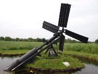 NL, Overijssel, Steenwijkerland, Weerribben 31, Saxifraga-Hans Dekker