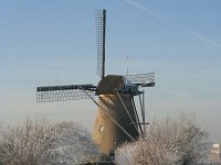 NL, Zuid-Holland, Alblasserdam, Kinderdijk 2, Saxifraga-Jan C van der Straaten