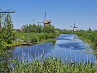 Windmills of World Heritage Site Kinderdijk under a blue sky  Windmills of World Heritage Site Kinderdijk under a blue sky : windmill, Holland, Netherlands, South Holland, Kinderdijk, Alblasserwaard, landmark, historic, building, monument, countryside, rural landscape, travel destinations, travel locations, tourism, Unesco, World Heritage Site, heritage, the past, history, reed, canal, water, windmills, rural, rural scene, scenic, non-urban scene, blue sky, clear sky, outside, outdoor, outdoors, no people, nobody, summer, summertime, mill