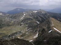 A, Kaernten, Krems, Koenigstuhl 15, Saxifraga-Luuk Vermeer