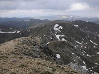 A, Kaernten, Krems, Koenigstuhl 30, Saxifraga-Luuk Vermeer