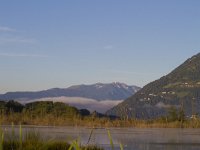 A, Kaernten, Ossiach, Bleistaettermoor 10, Saxifraga-Jan Nijendijk