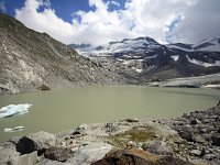 A, Salzburg, Neukirchen, Obersulzbach Kees 2, Saxifraga-Jonathan Vandevoorden