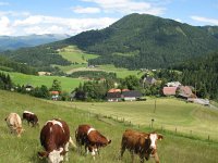 Steiermark