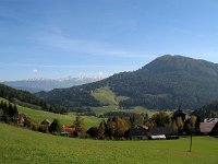 A, Steiermark, Murau 2, Saxifraga-Jonathan Vandevoorden