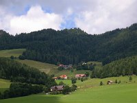 A, Steiermark, Murau 3, Saxifraga-Jonathan Vandevoorden