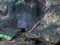 B, Liege, Kelmis 27, quarry, Saxifraga-Jan van der Straaten