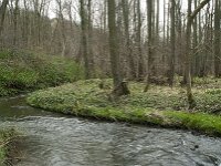 B, Liege, Plombieres, Gueule 25, Saxifraga-Willem van Kruijsbergen