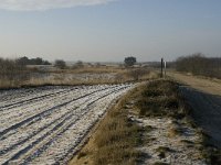 B, Limburg, Houthalen-Helchteren, Sonnisheide 1, Saxifraga-Jan van der Straaten