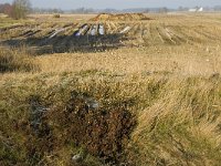 B, Limburg, Houthalen-Helchteren, Sonnisheide 10, Saxifraga-Jan van der Straaten