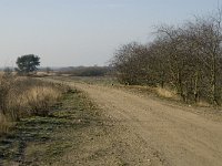 B, Limburg, Houthalen-Helchteren, Sonnisheide 5, Saxifraga-Jan van der Straaten