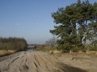 B, Limburg, Houthalen-Helchteren, Sonnisheide 8, Saxifraga-Jan van der Straaten