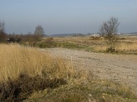 B, Limburg, Houthalen-Helchteren, Sonnisheide 9, Saxifraga-Jan van der Straaten