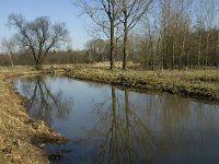 B, Limburg, Kinrooi, Abeek, Stramprooierbroek 5, Saxifraga-Jan van der Straaten