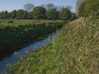 B, Limburg, Kinrooi, Basdonk 7, Saxifraga-Jan van der Straaten