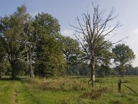 B, Limburg, Kinrooi, De Brand 18, Saxifraga-Jan van der Straaten