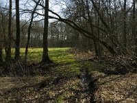 B, Limburg, Kinrooi, De Luysen 5, Saxifraga-Jan van der Straaten