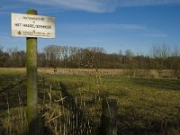 B, Limburg, Kinrooi, Hasselterbroek 14, Saxifraga-Jan van der Straaten