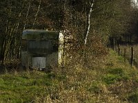 B, Limburg, Kinrooi, Hasselterbroek 18, Saxifraga-Jan van der Straaten