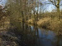 B, Limburg, Kinrooi, Hasselterbroek 3, Saxifraga-Jan van der Straaten