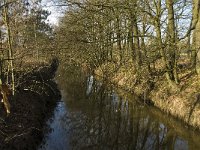 B, Limburg, Kinrooi, Hasselterbroek 6, Saxifraga-Jan van der Straaten