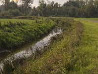 B, Limburg, Kinrooi, Itterbeek 3, Saxifraga-Jan van der Straaten