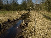 B, Limburg, Kinrooi, Mariahof 1, Saxifraga-Jan van der Straaten