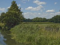 B, Limburg, Kinrooi, Nieuwe Abeek 10, Saxifraga-Marijke Verhagen