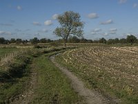 B, Limburg, Kinrooi, Zuurbeekvallei 1, Saxifraga-Jan van der Straaten