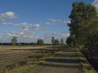 B, Limburg, Kinrooi, Zuurbeekvallei 16, Saxifraga-Jan van der Straaten