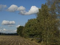 B, Limburg, Kinrooi, Zuurbeekvallei 19, Saxifraga-Jan van der Straaten