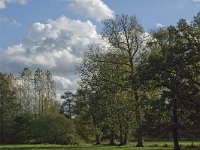 B, Limburg, Kinrooi, Zuurbeekvallei 22, Saxifraga-Jan van der Straaten