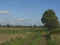 B, Limburg, Kinrooi, Zuurbeekvallei 3, Saxifraga-Jan van der Straaten