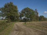 B, Limburg, Kinrooi, Zuurbeekvallei 4, Saxifraga-Jan van der Straaten