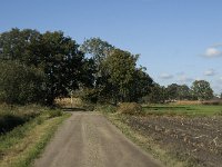 B, Limburg, Kinrooi, Zuurbeekvallei 8, Saxifraga-Jan van der Straaten