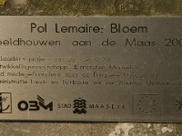 B, Limburg, Maaseik, Bosbeek 8, Saxifraga-Jan van der Straaten