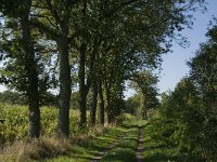 B, Limburg, Maaseik, Langeren 12, Saxifraga-Jan van der Straaten