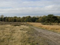 B, Limburg, Neerpelt, Hageven 16, Saxifraga-Marijke Verhagen