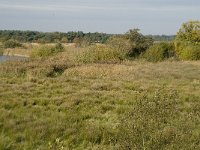 B, Limburg, Neerpelt, Hageven 4, Saxifraga-Marijke Verhagen