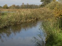 B, Limburg, Neerpelt, Hageven, Dommel 1, Saxifraga-Marijke Verhagen