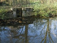 B, Limburg, Neerpelt, Saske 7, Saxifraga-Jan van der Straaten