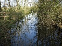 B, Limburg, Neerpelt, aanvoerkanaal Saske 1, Saxifraga-Jan van der Straaten