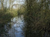 B, Limburg, Neerpelt, aanvoerkanaal Saske 2, Saxifraga-Jan van der Straaten