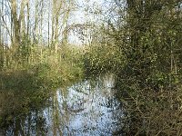 B, Limburg, Neerpelt, aanvoerkanaal Saske 3, Saxifraga-Jan van der Straaten