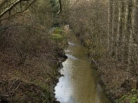 B, Limburg, Overpelt, Endergatloop 3, Saxifraga-Jan van der Straaten